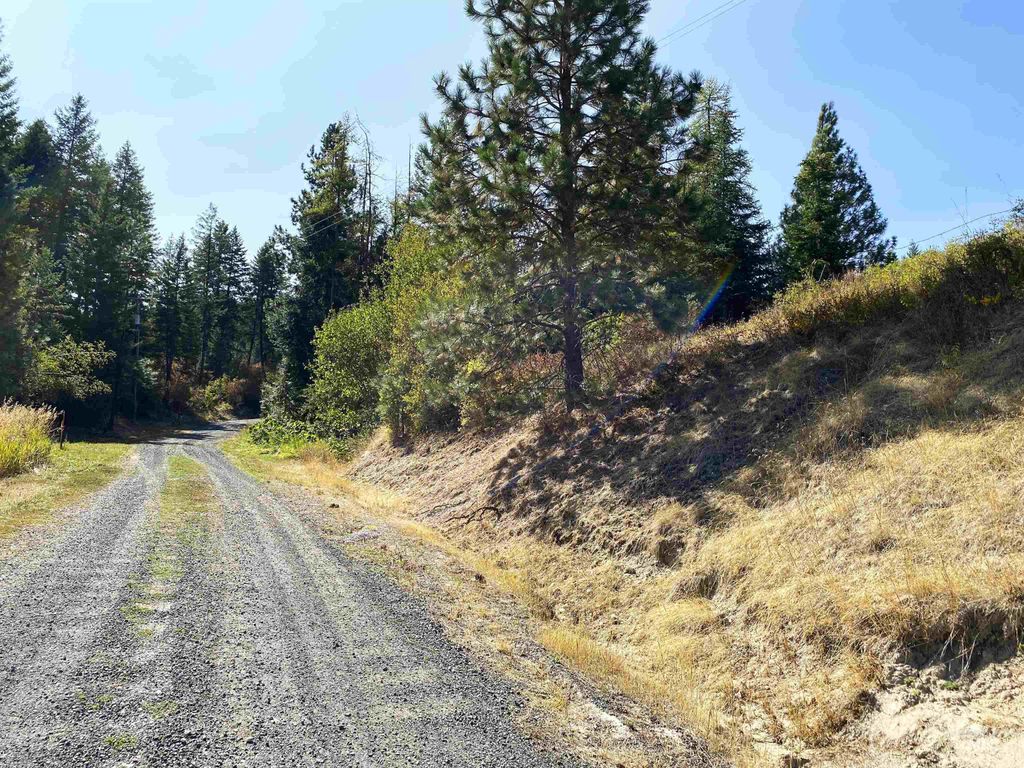 Photo of 1007 W Hatter Creek, Princeton, ID 83857 (MLS # 98962042)