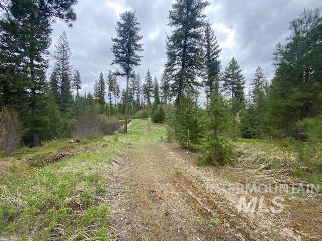 104 Coit Drive, Cascade, Idaho image 11