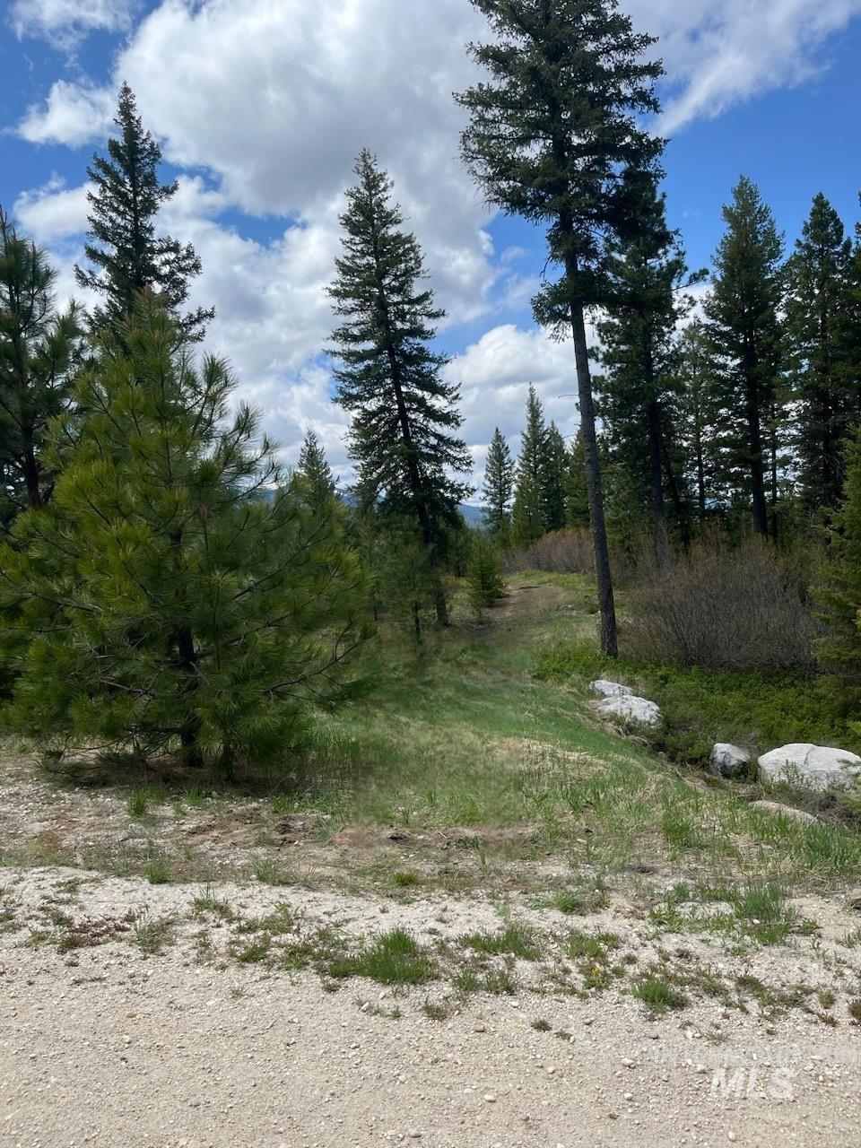 104 Coit Drive, Cascade, Idaho image 3