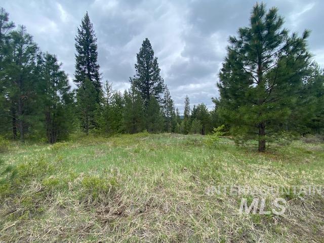 104 Coit Drive, Cascade, Idaho image 4