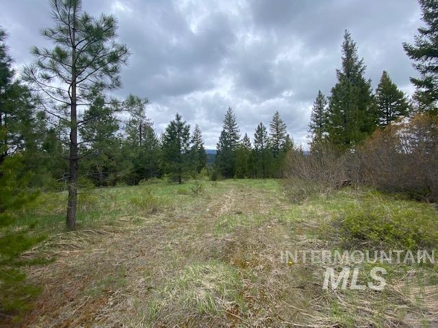 104 Coit Drive, Cascade, Idaho image 2