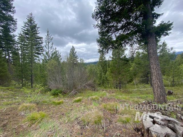 104 Coit Drive, Cascade, Idaho image 7