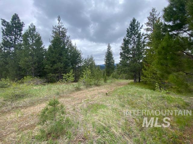 104 Coit Drive, Cascade, Idaho image 5