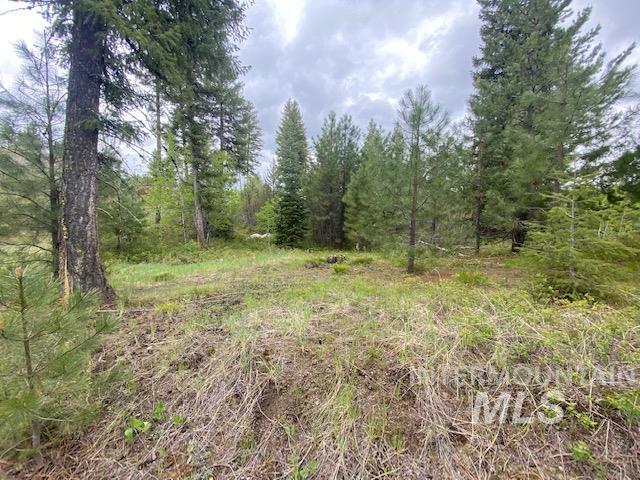 104 Coit Drive, Cascade, Idaho image 12