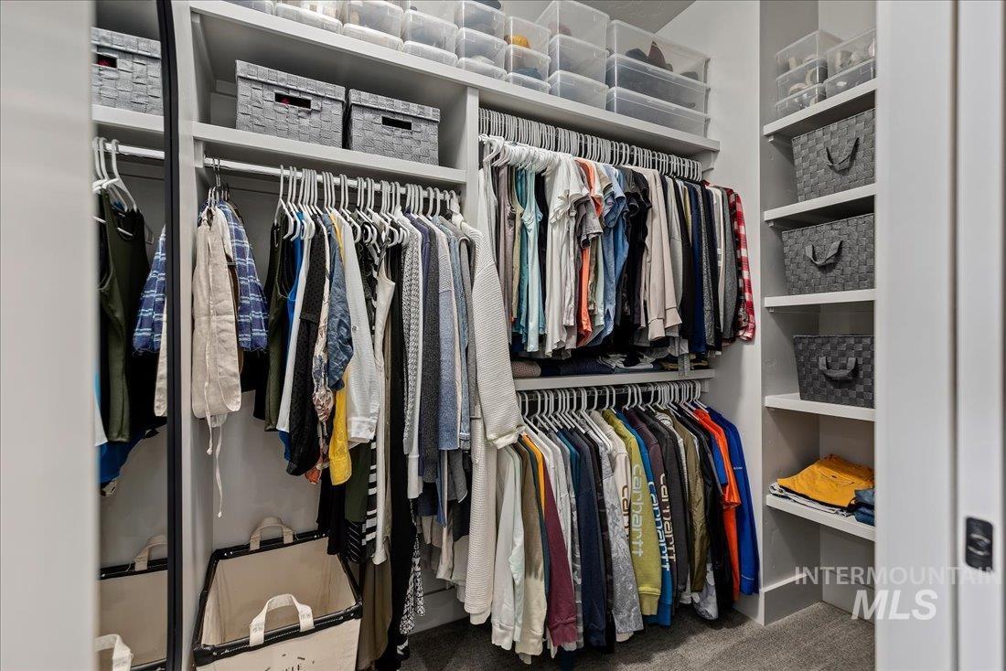 Spacious closet featuring carpet flooring
