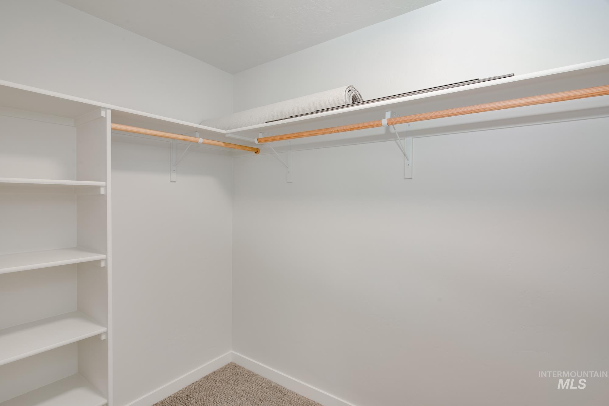 Walk-in closet featuring white walls, light-colored carpeting, built-in shelving, and two wooden hanging rods