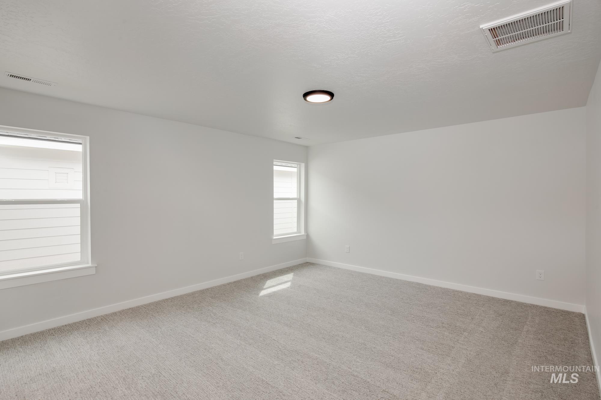 Carpeted room featuring multiple windows, a ceiling-mounted light fixture, and white painted walls