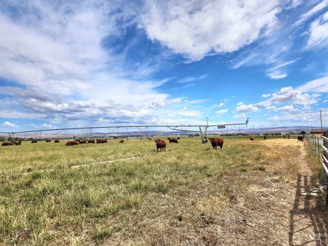 Photo of 2175 Graham Blvd, Vale, OR 97918 (MLS # 98949243)