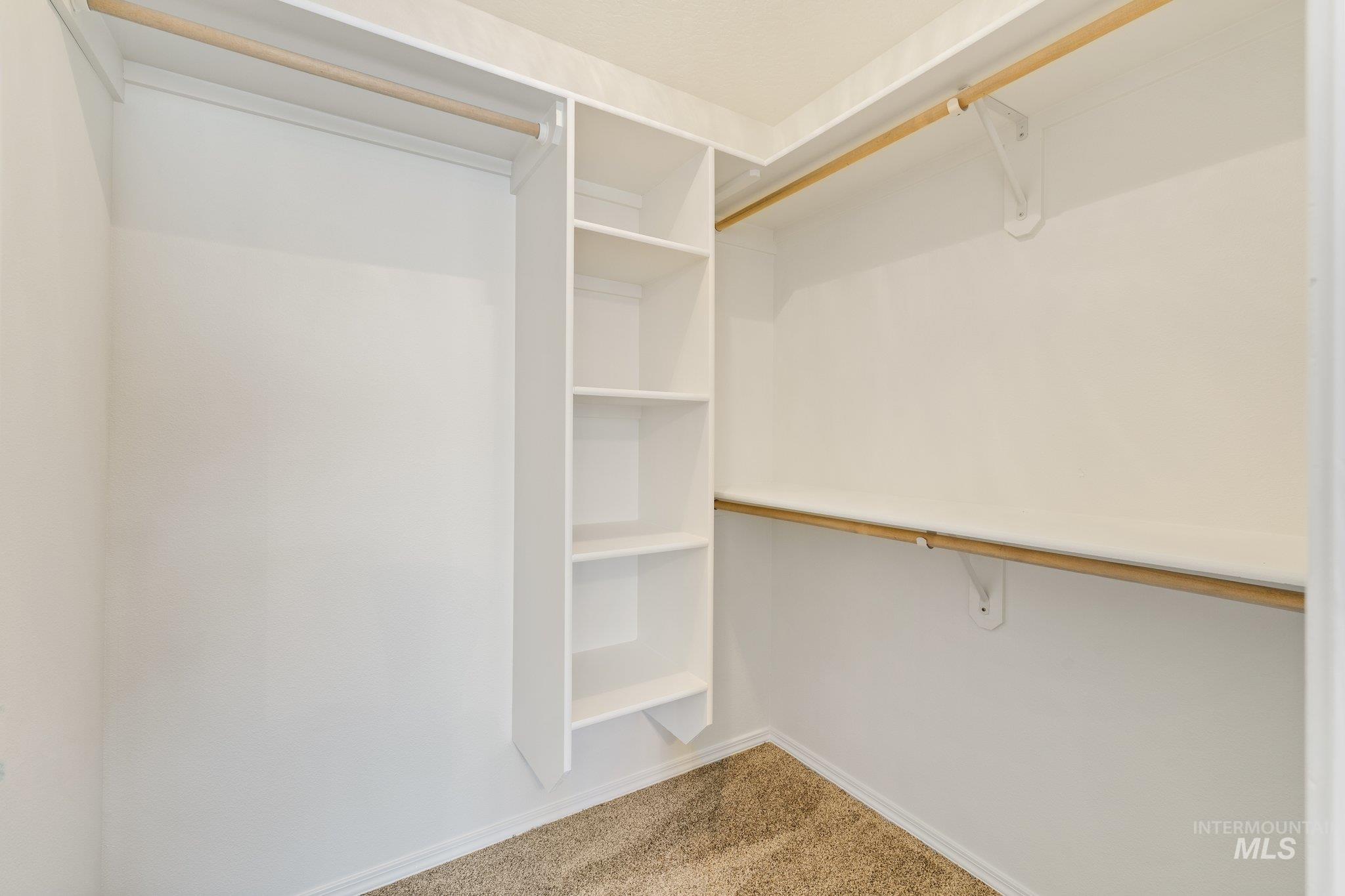 Spacious closet featuring carpet floors