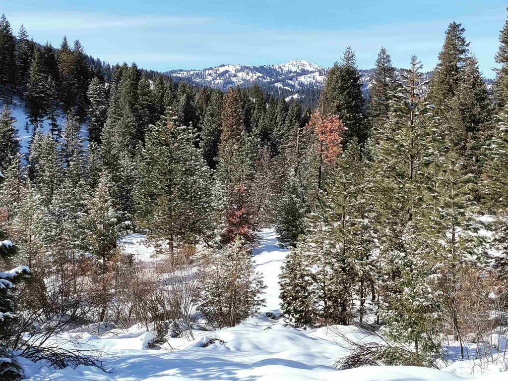 Photo of 20 Crow Court, Boise, ID 83716 (MLS # 98985448)