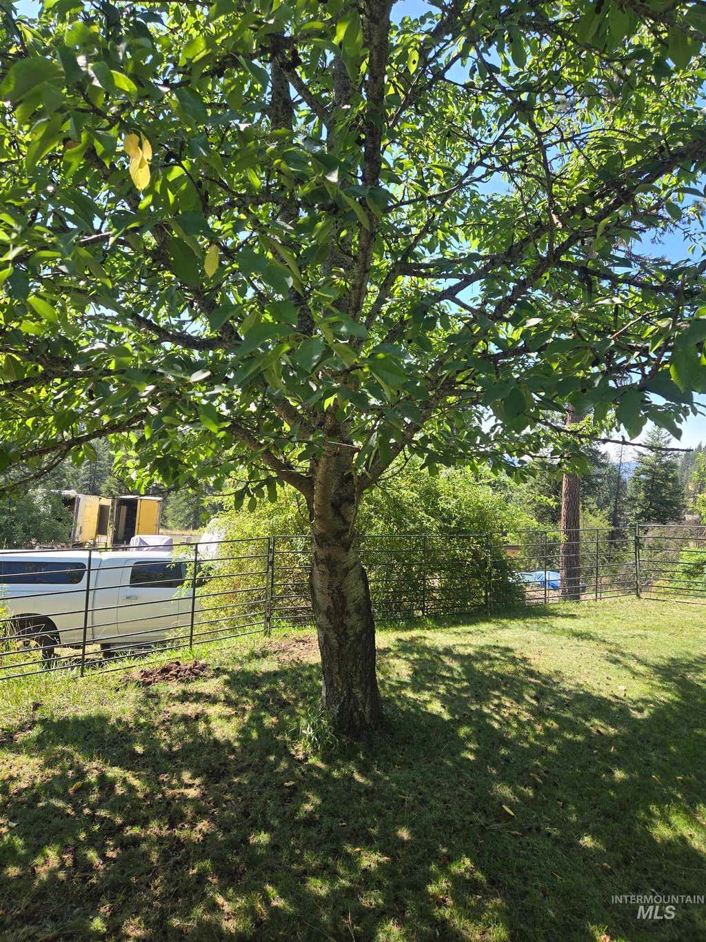 Photo of 189 Skyline Heights Drive, Orofino, ID 83544 (MLS # 98996149)