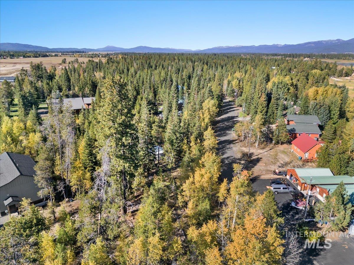 Aerial view of a heavily wooded area and mountains