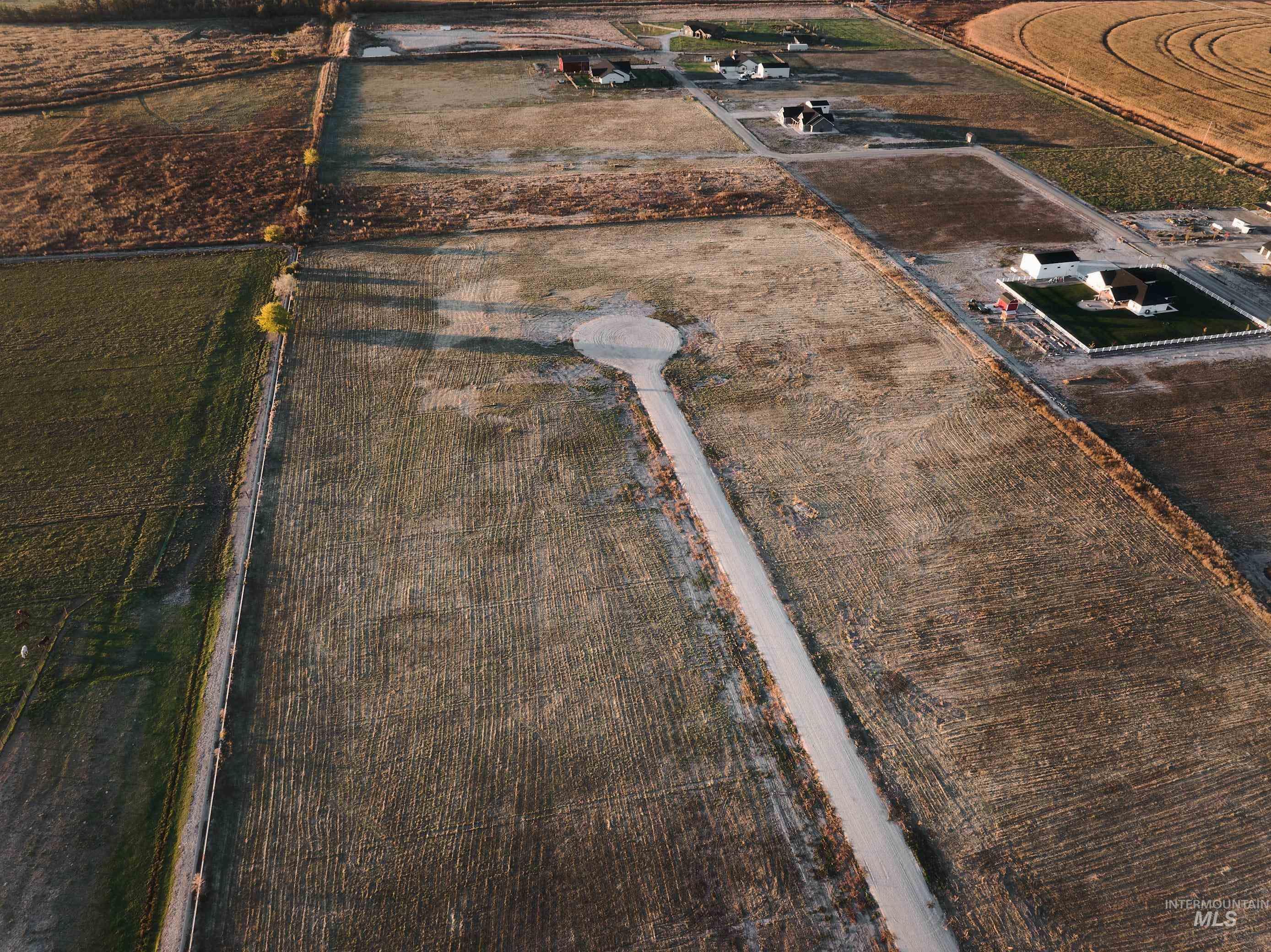 View of rural area with rows of crops