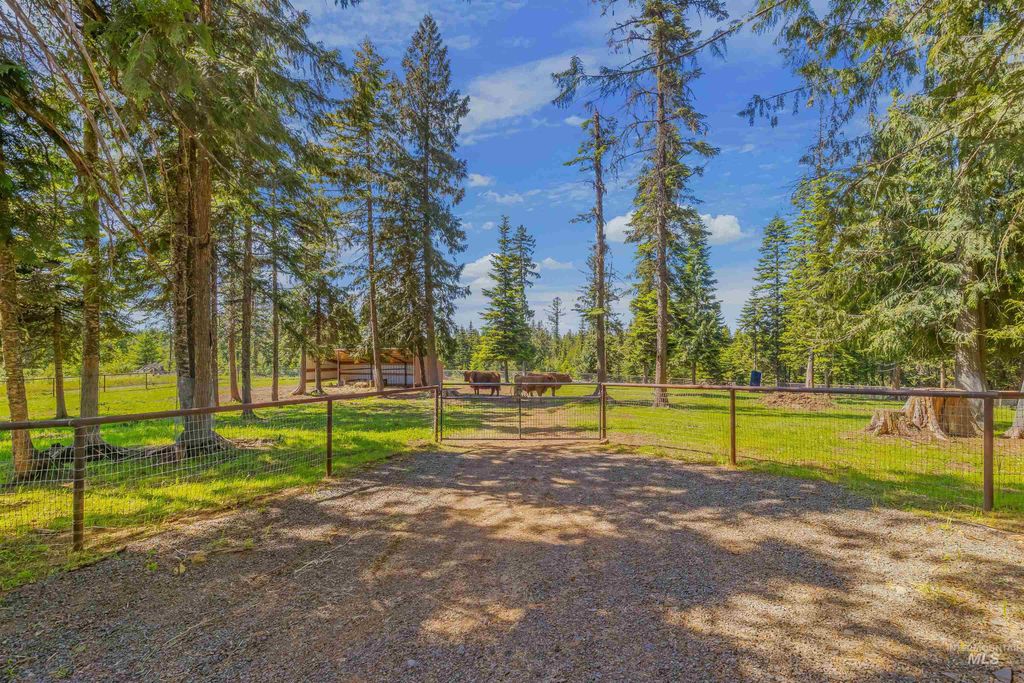 Photo of 1442 Band Mill Road, Orofino, ID 83544 (MLS # 98989520)