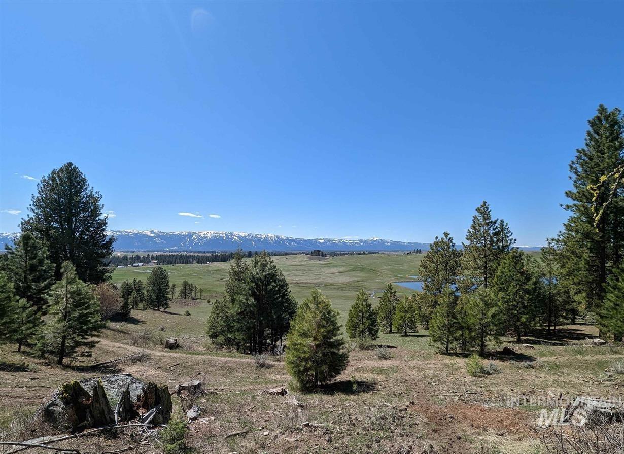 TBD Gold Fork Rd (374 Acres)