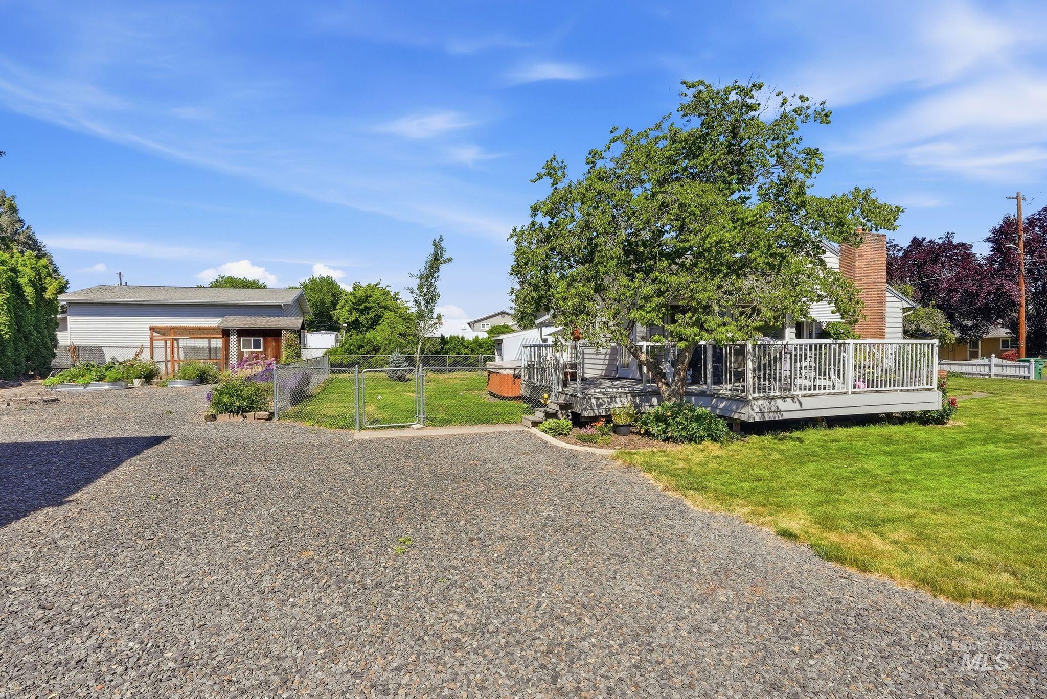Gravel driveway leading to a spacious deck with white railings, a mature shade tree, and a grassy lawn