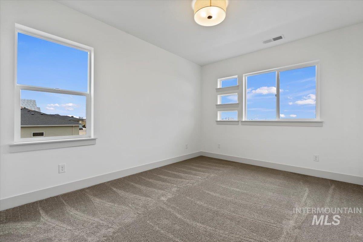 Spare room with carpet floors and healthy amount of natural light