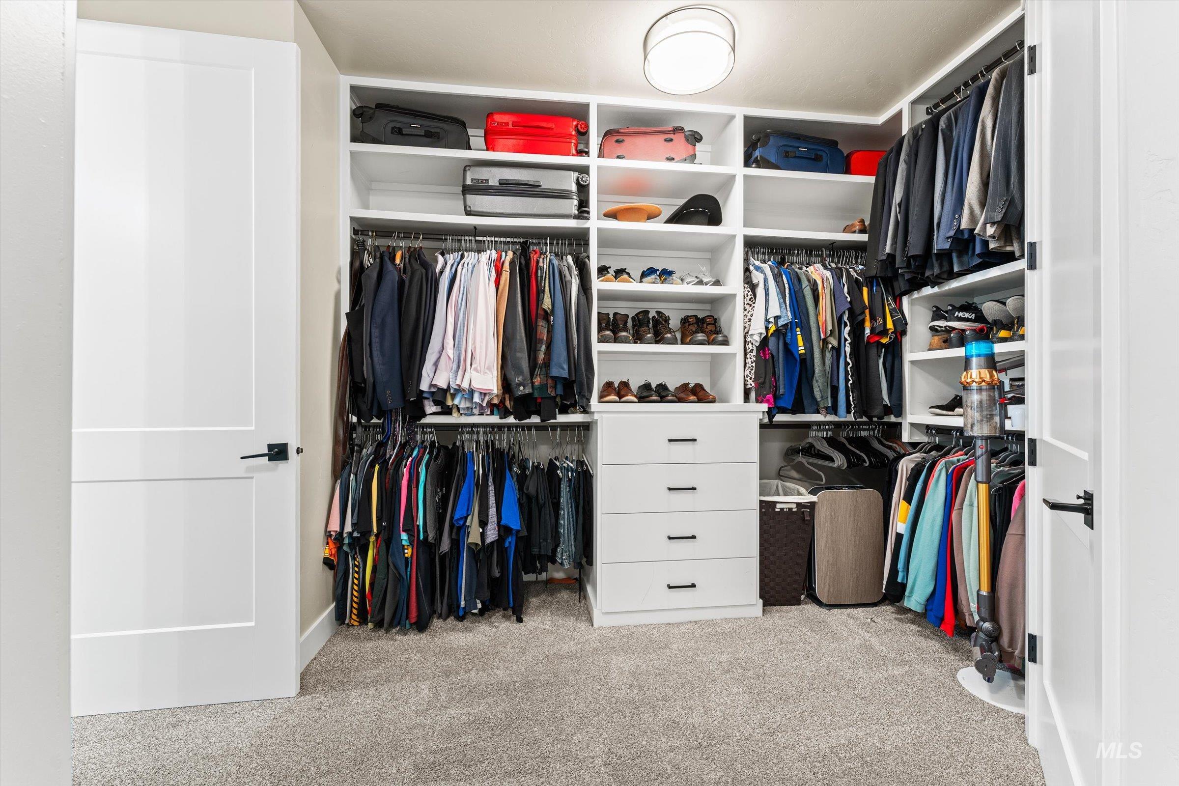 Walk in closet featuring light colored carpet