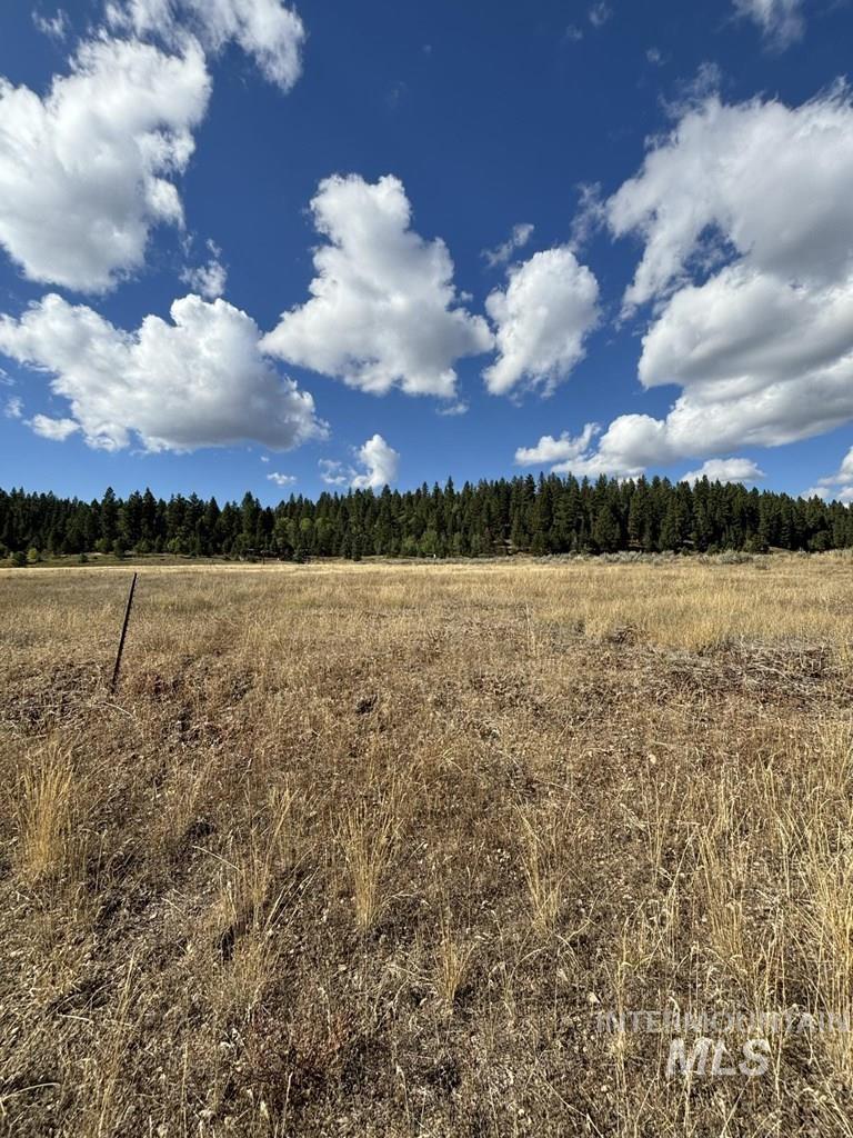 View of wooded area featuring a view of rural / pastoral area