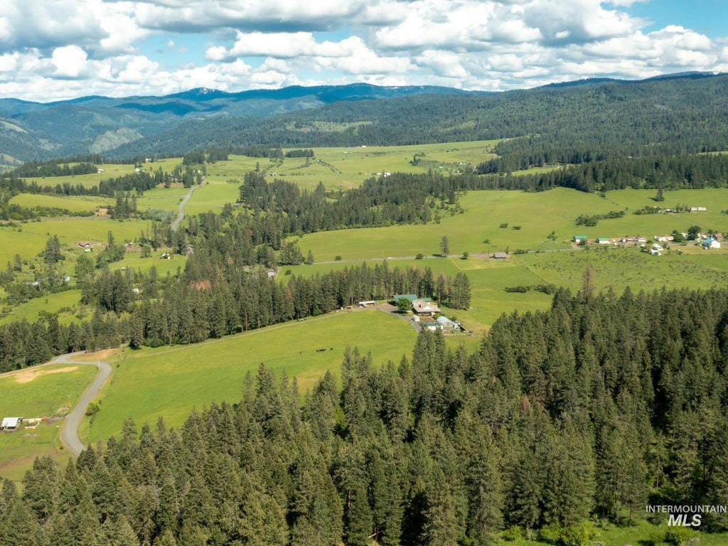 Photo of 794 Pleasant Valley Rd, Clearwater, ID 83552 (MLS # 99000623)