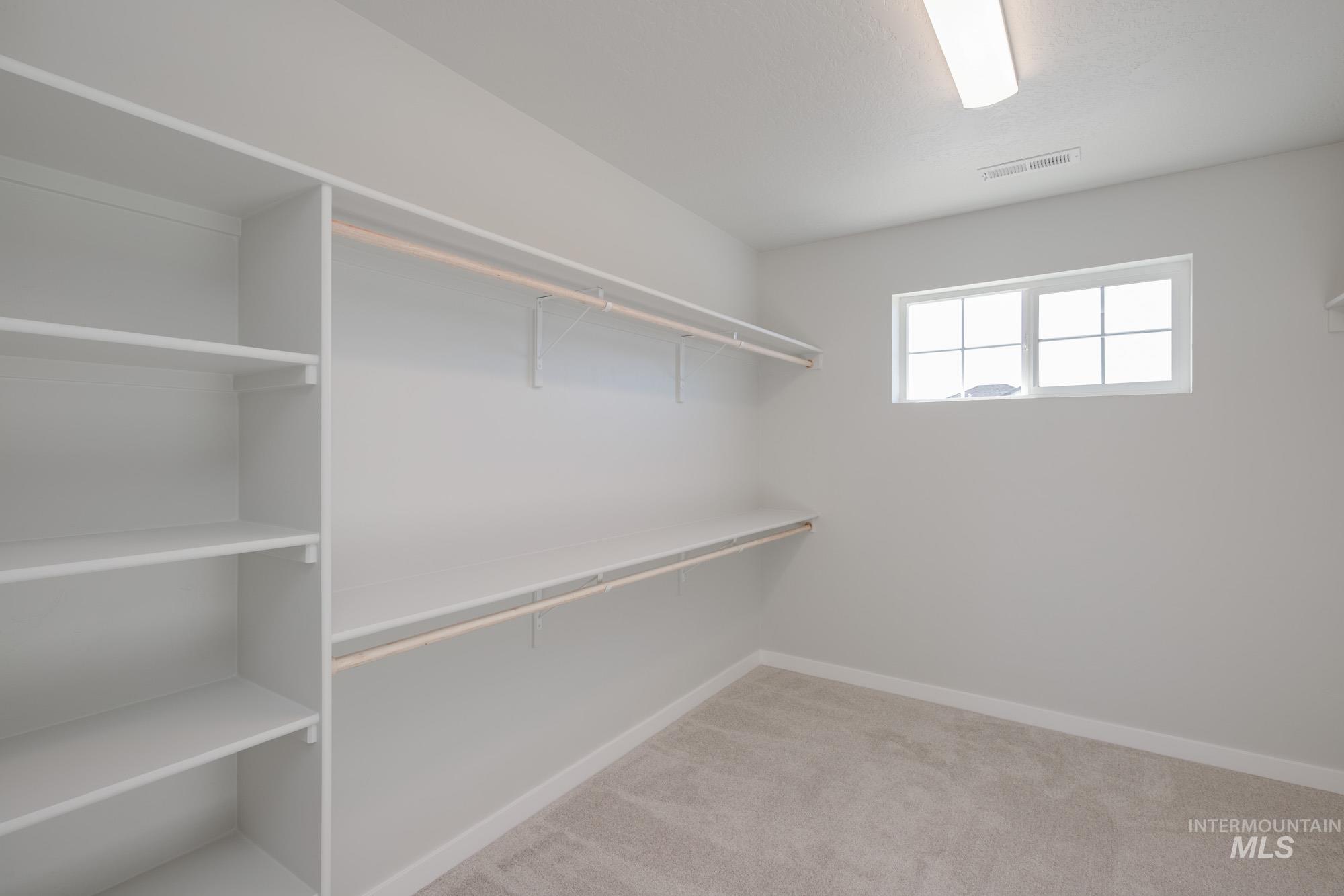 Spacious closet featuring light colored carpet