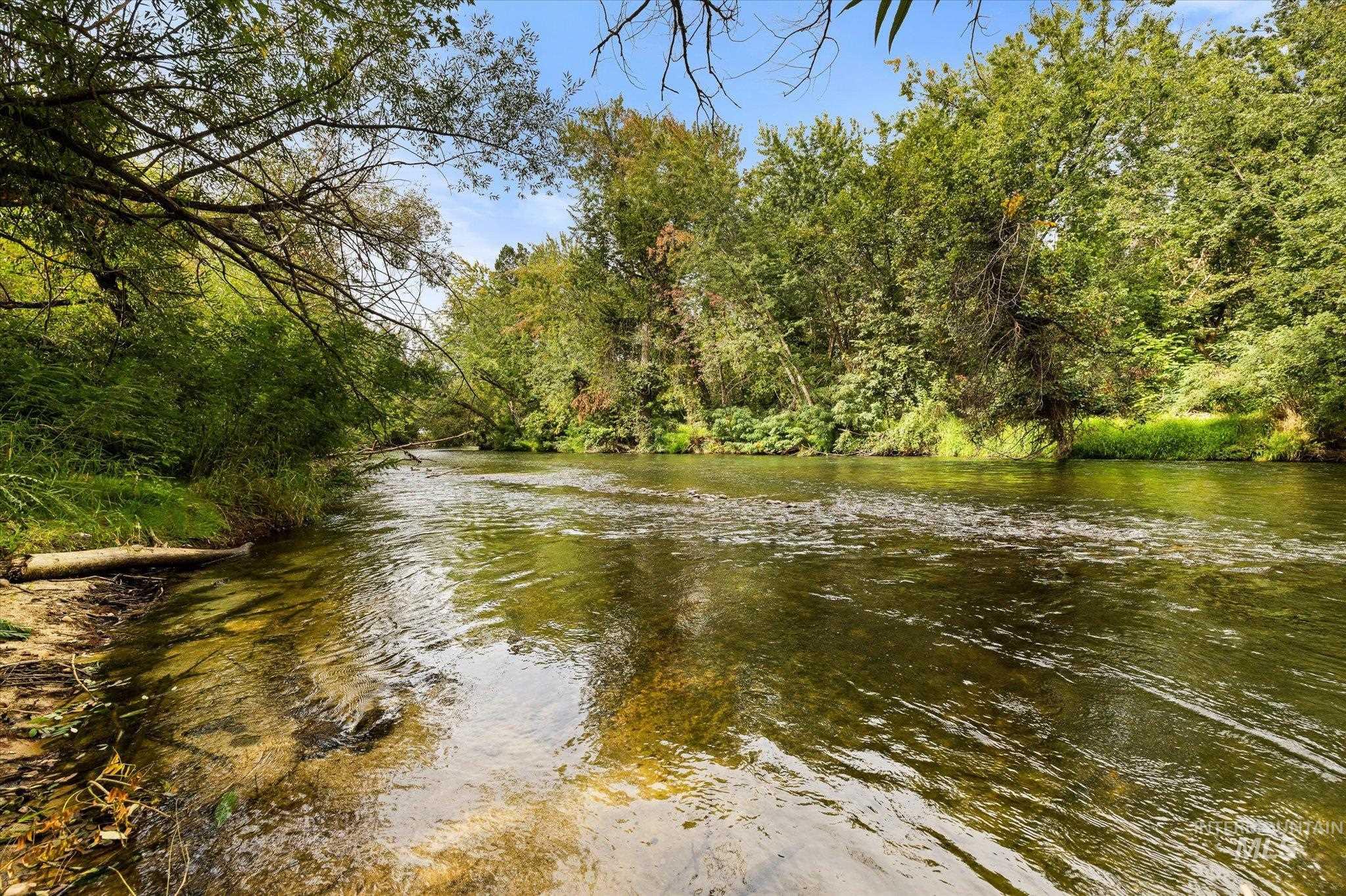 Water view with a forest