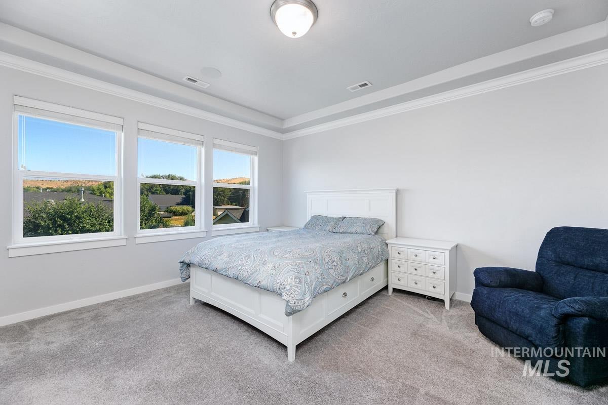 Bedroom featuring carpet flooring, ornamental molding, and a raised ceiling