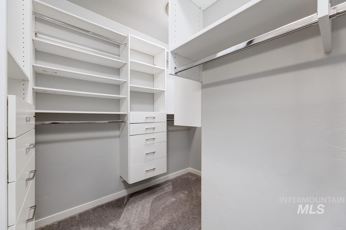 Spacious closet featuring dark carpet