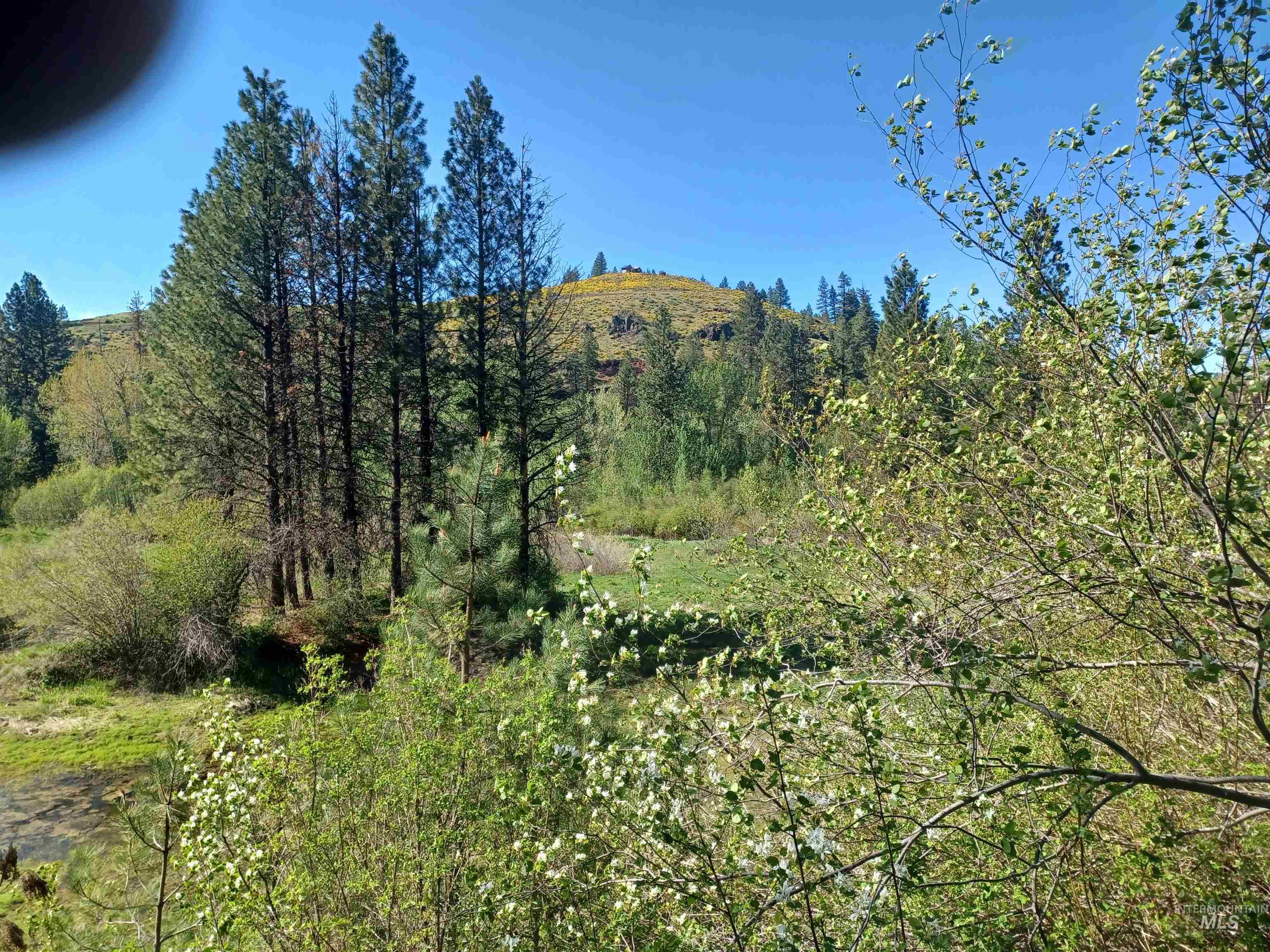 00 Peaceful Pines Rd