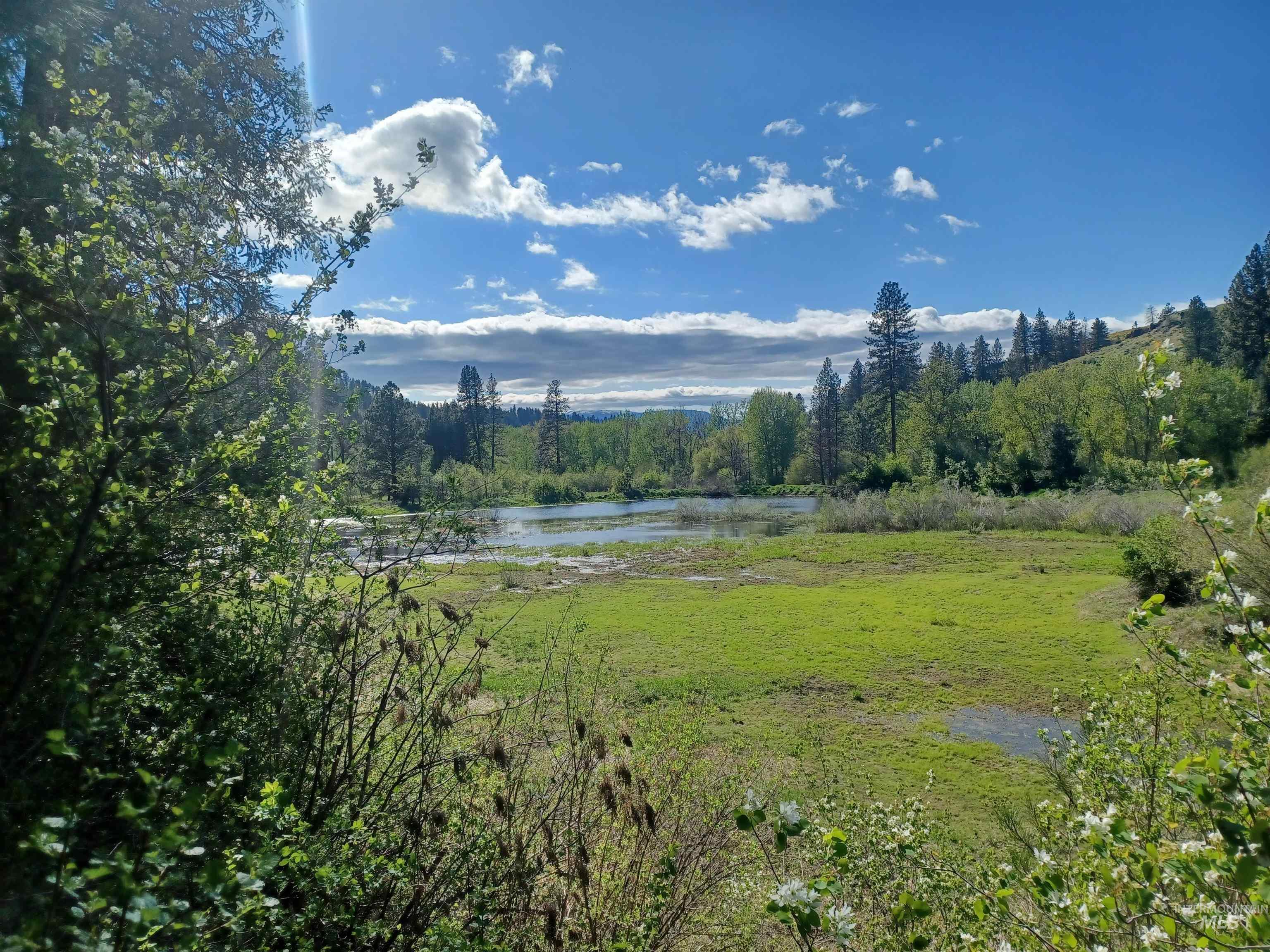 00 Peaceful Pines Rd