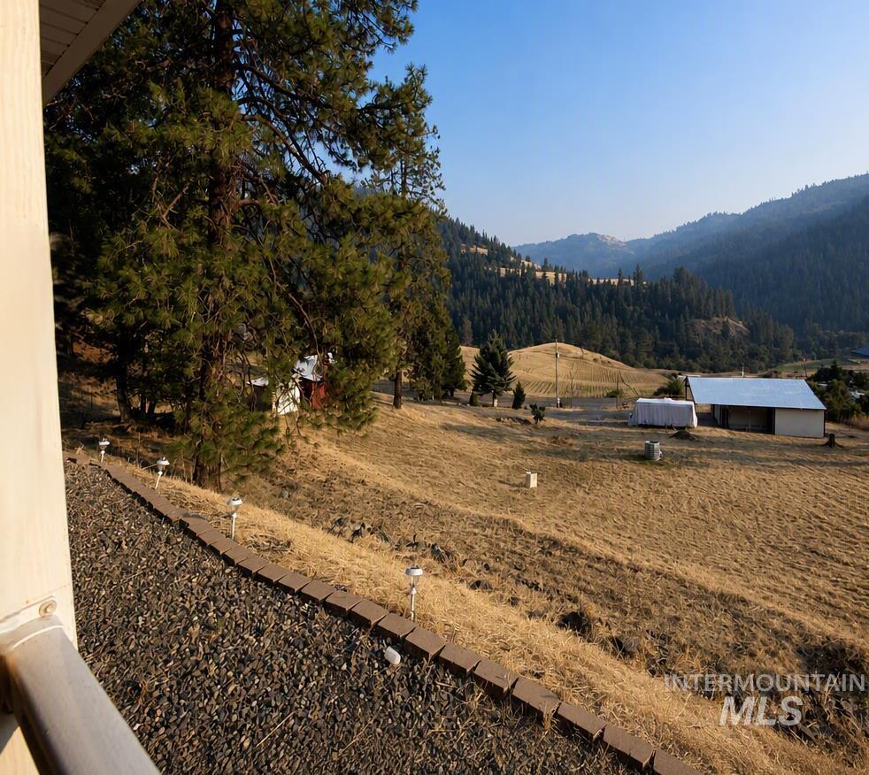 Photo of 41167 Little Canyon Road, Peck, ID 83545 (MLS # 98997392)