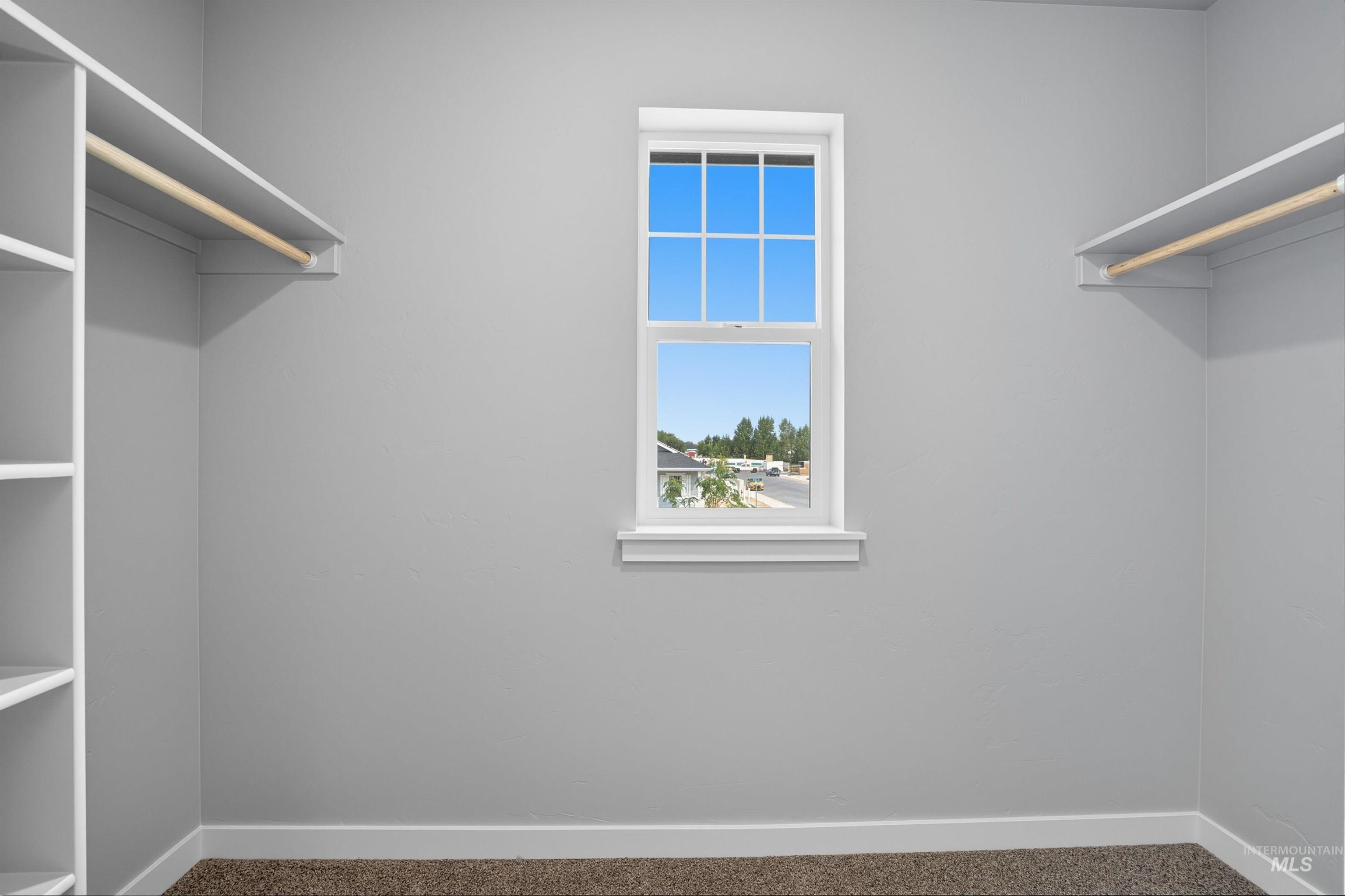Spacious closet featuring an exterior window, built-in shelving, white trim, and carpet flooring
