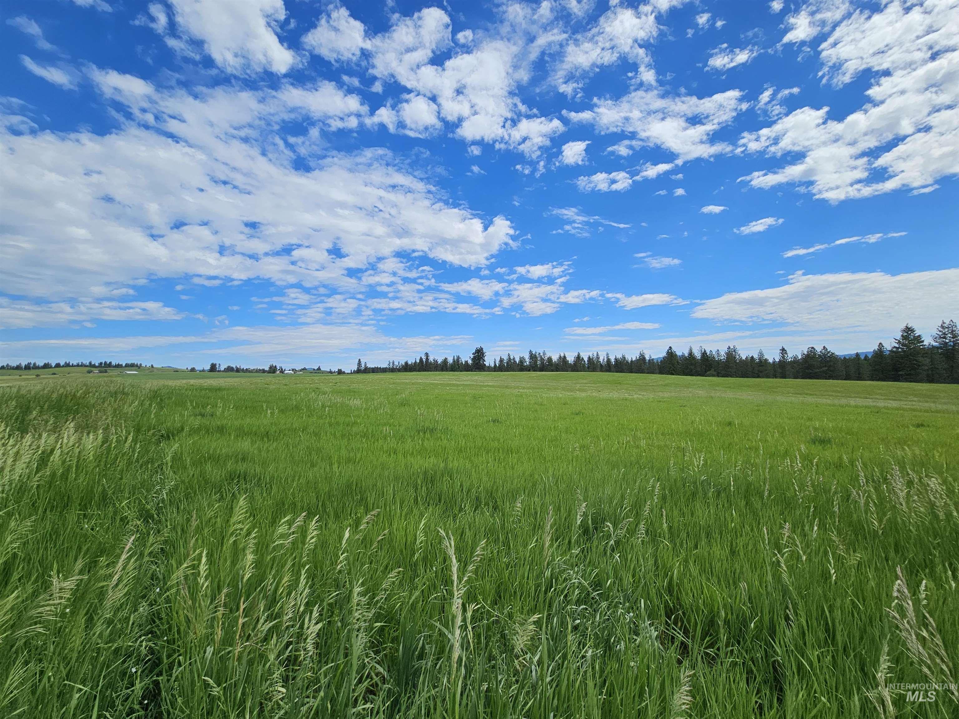 TBD Fern Hill Rd, Kendrick, Idaho image 8