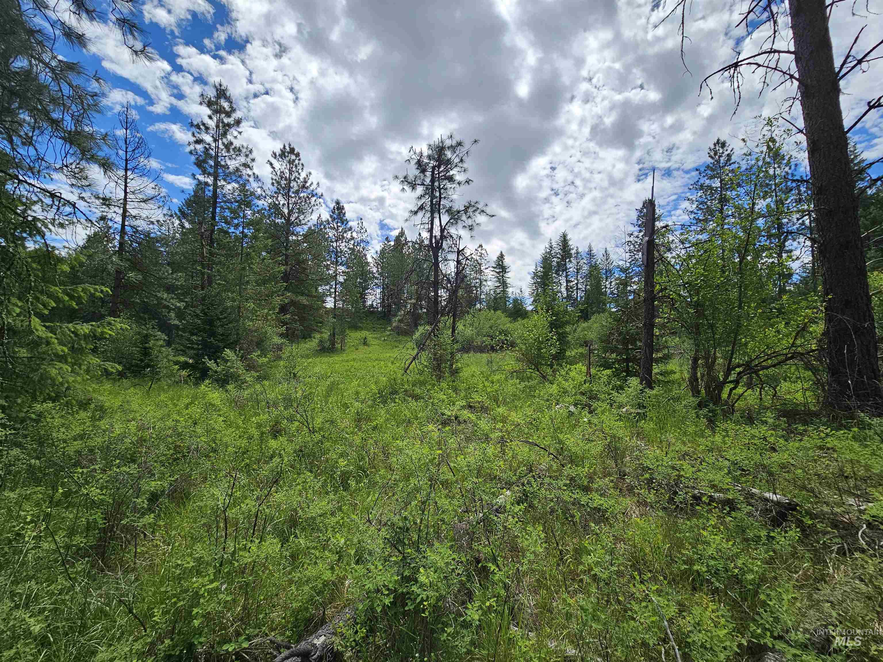 TBD Fern Hill Rd, Kendrick, Idaho image 19