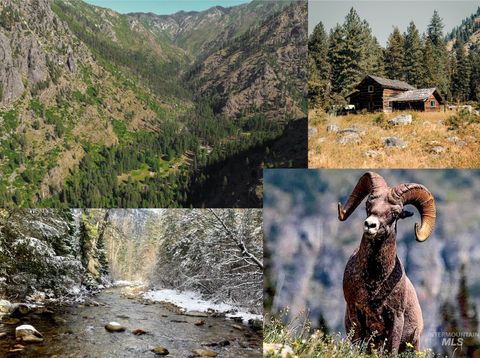 Photo of 3869 Big Salmon River Rd, Riggins, ID 83549 (MLS # 98978722)