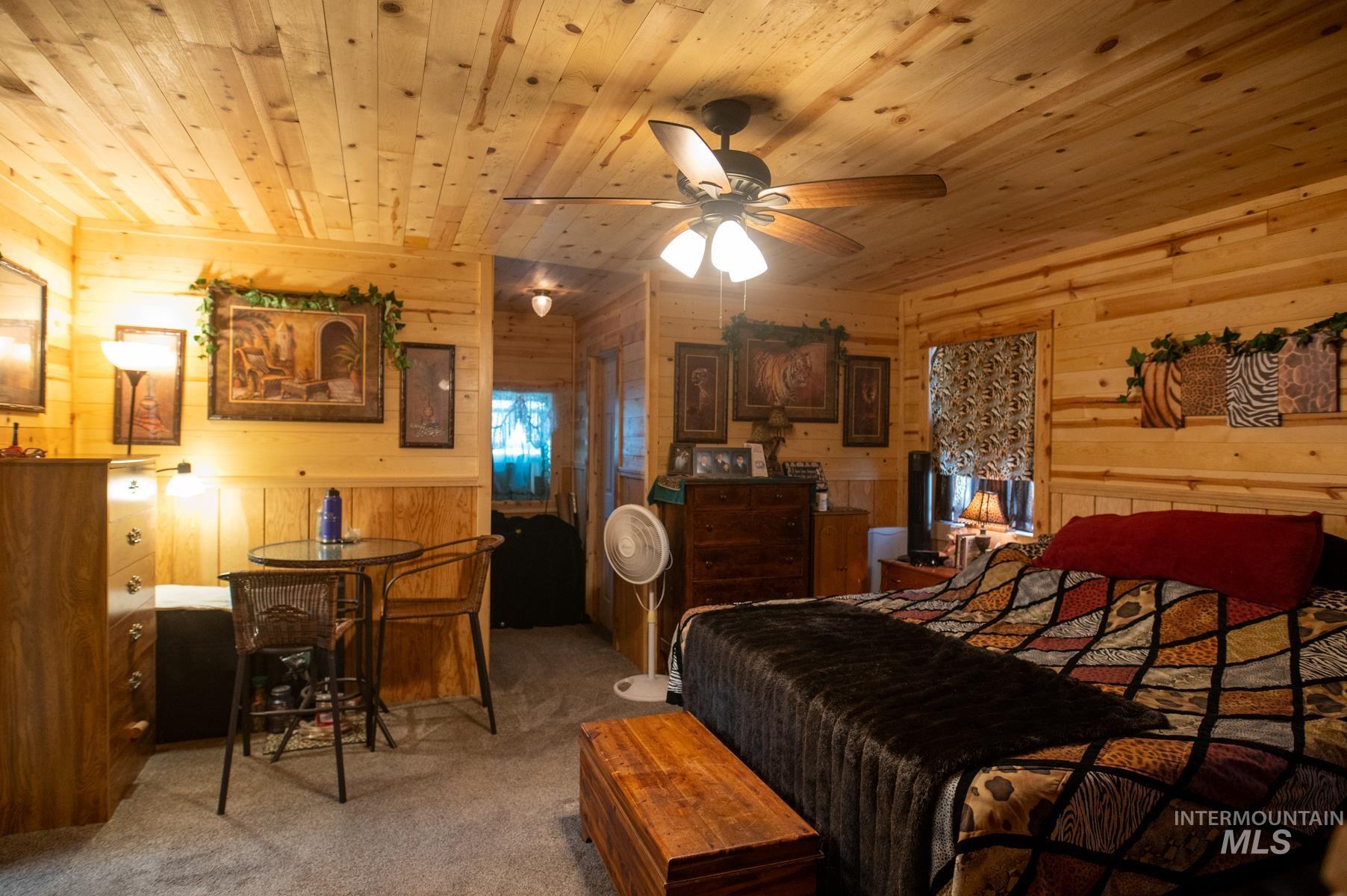 Carpeted room featuring wood paneling on walls and ceiling, a ceiling fan with light fixture, and a window with blinds