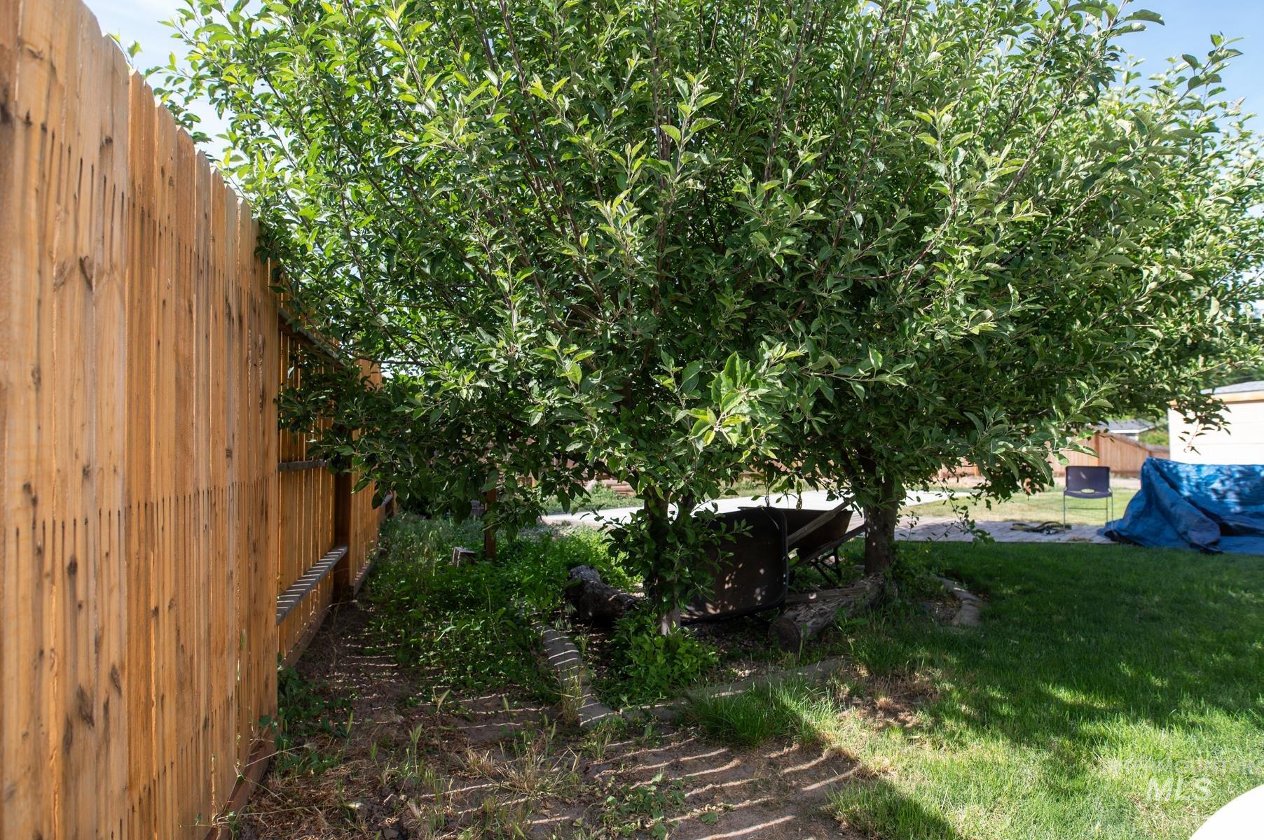 Lush green trees and a full privacy fence define this outdoor space