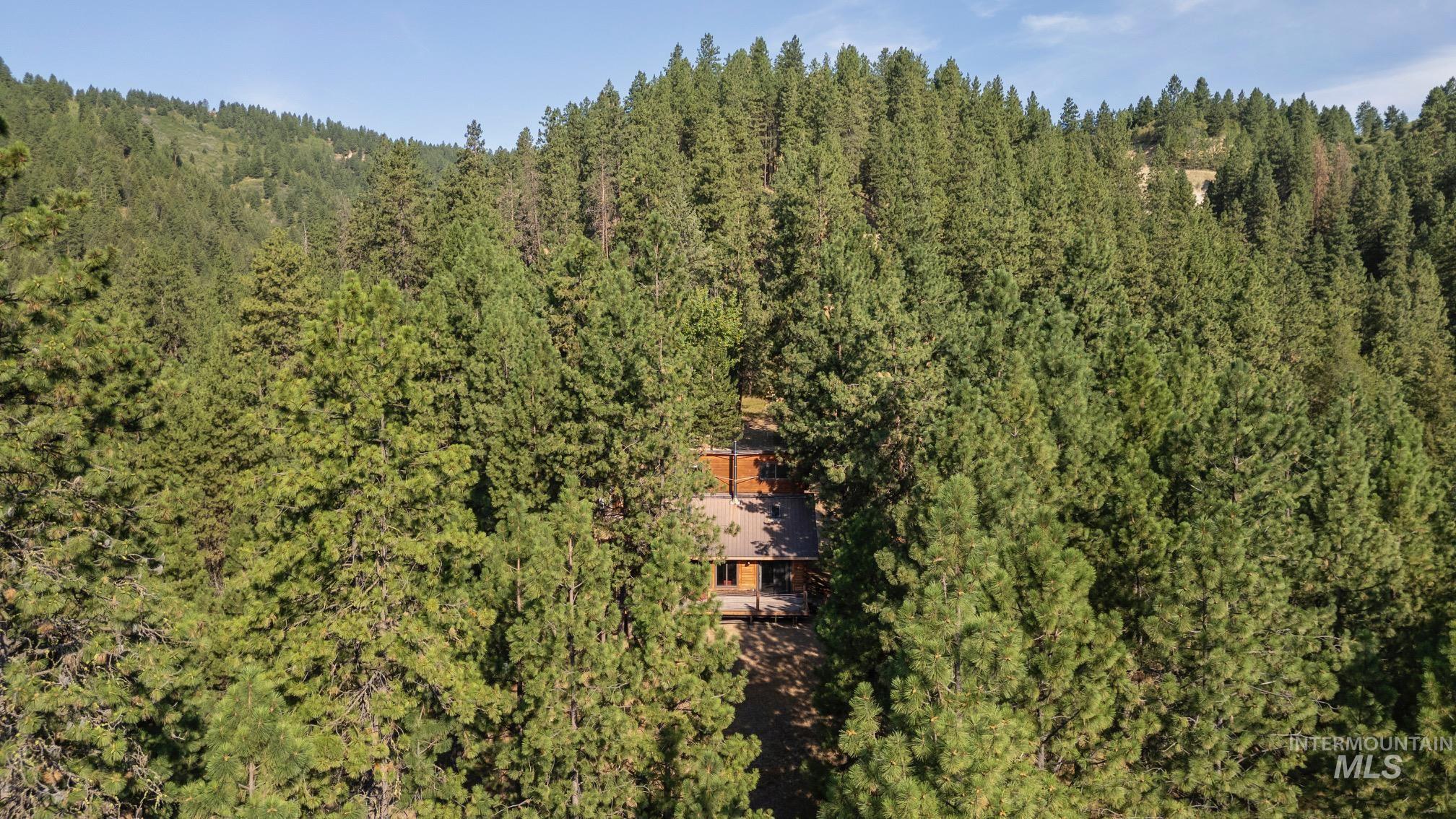 View of subject property with a forest