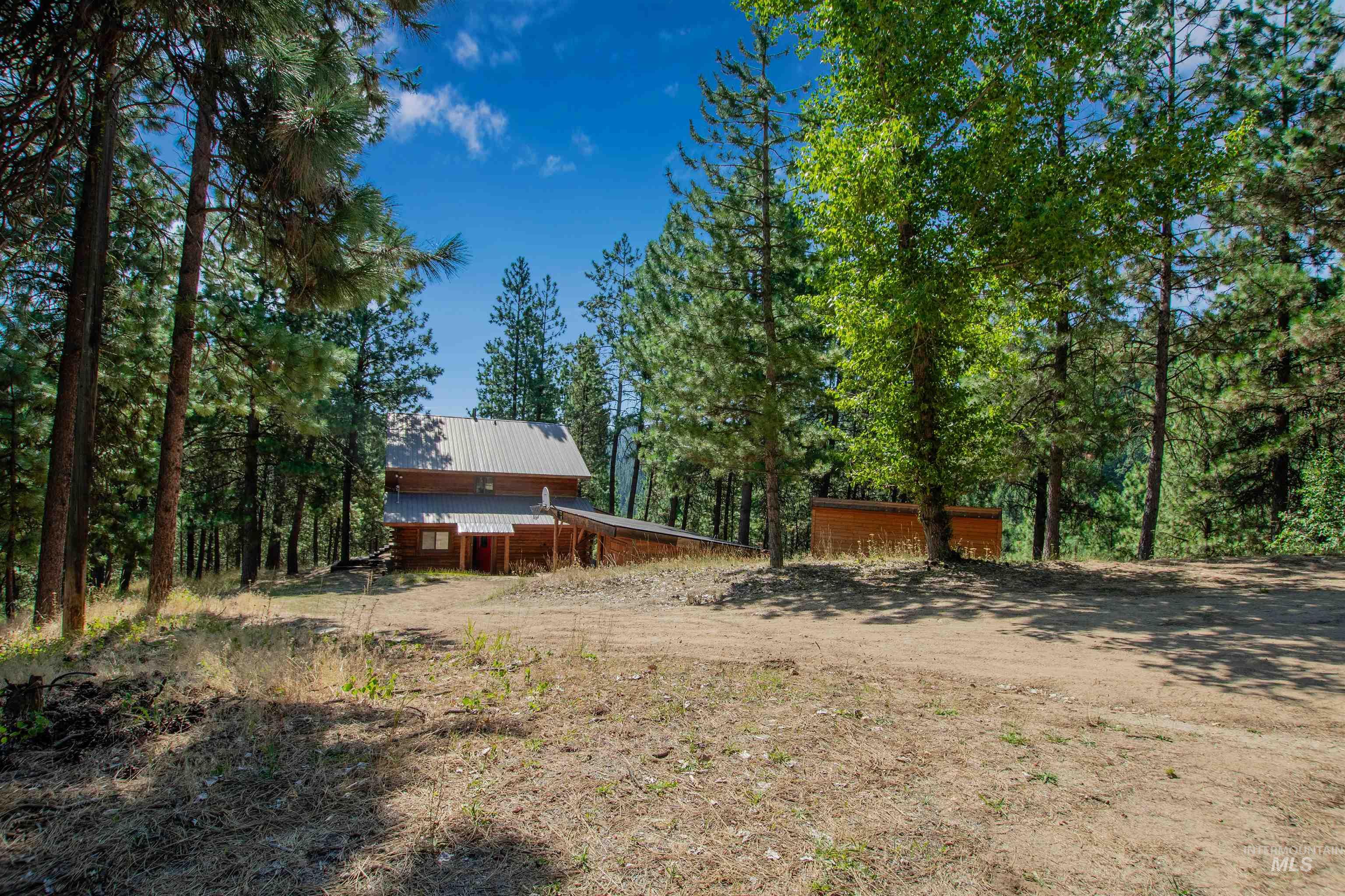 View of yard featuring a forest view