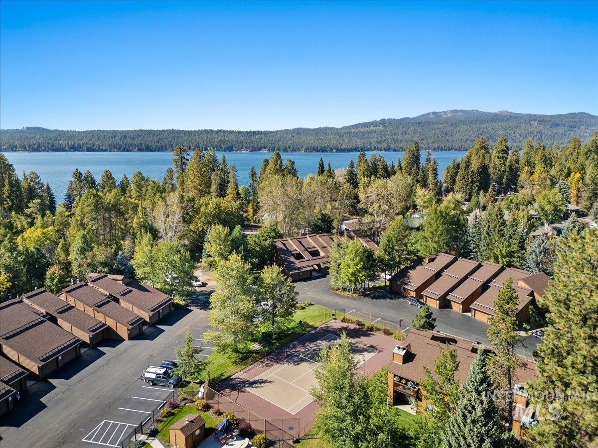 Aerial perspective of suburban area featuring a forest
