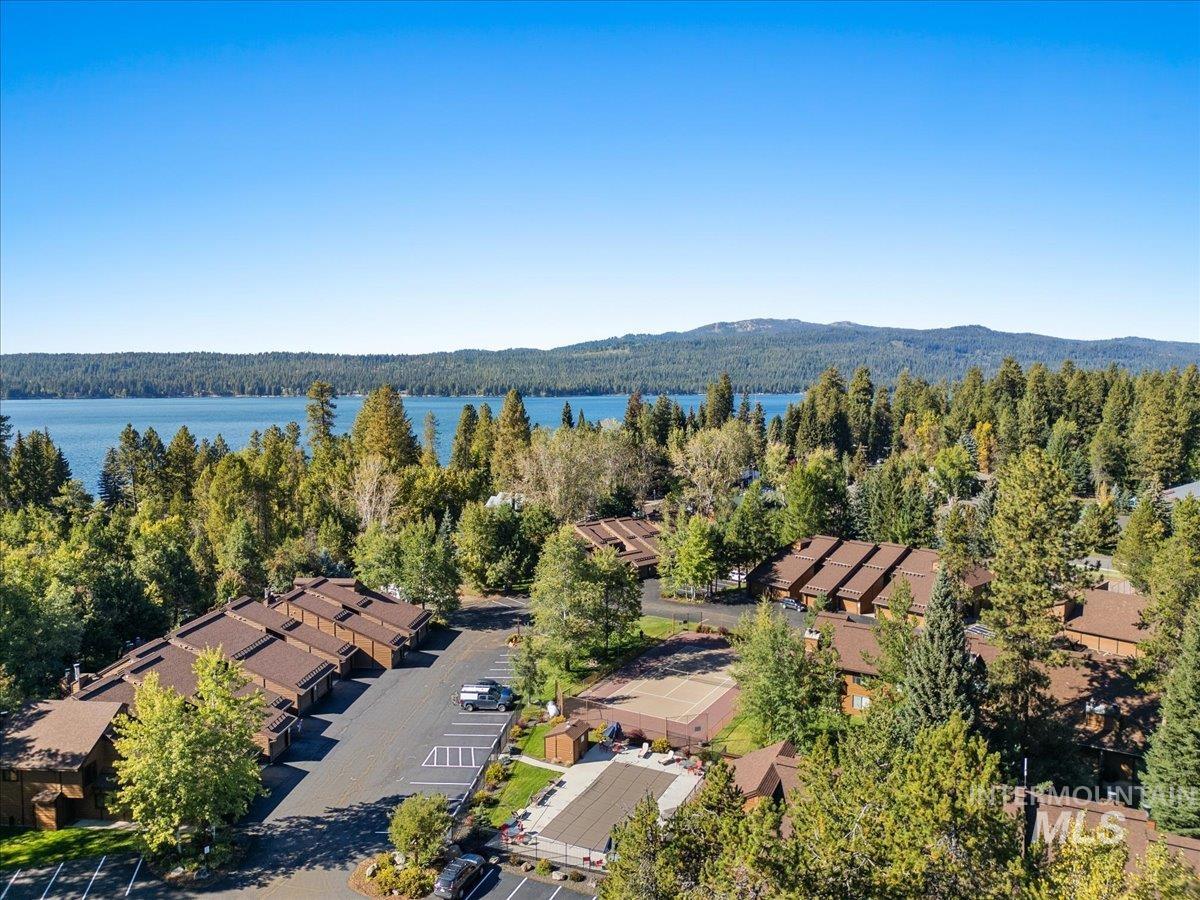 Aerial perspective of suburban area featuring a forest and a water and mountain view