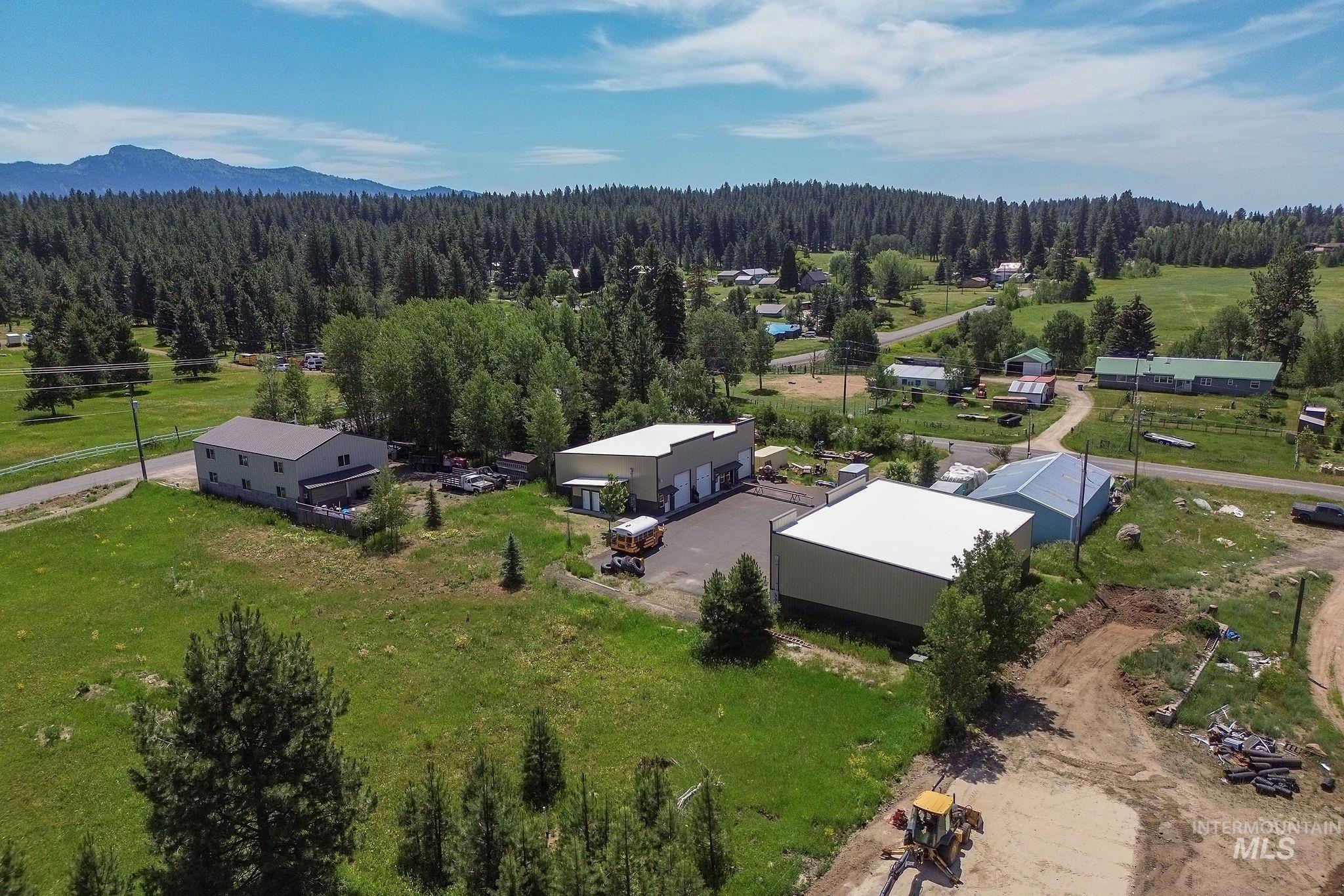 Drone / aerial view of a forest and mountains