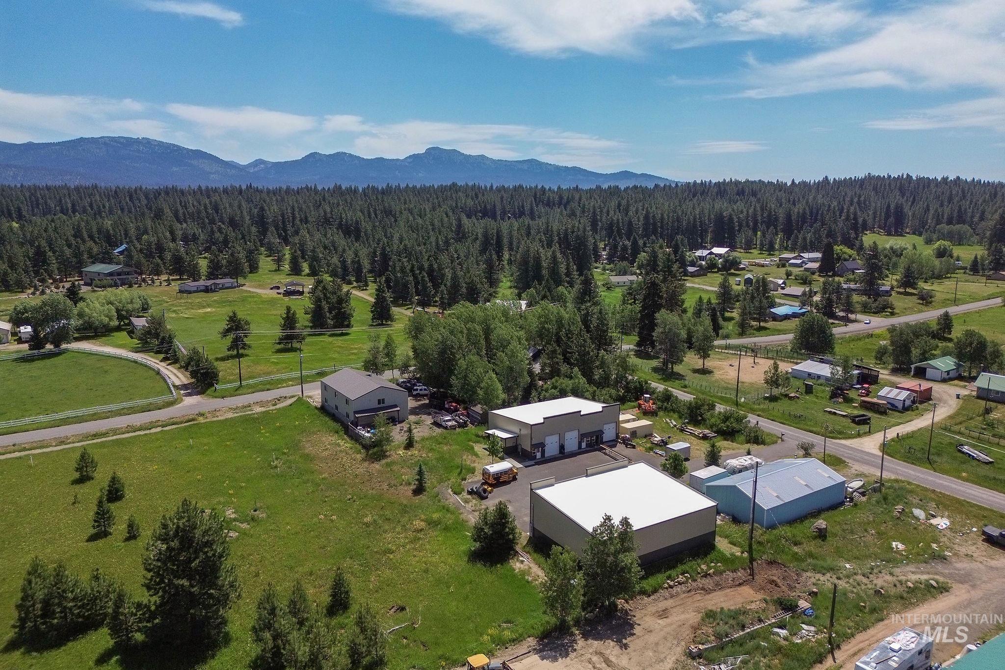 Aerial view of a forest and a mountainous background