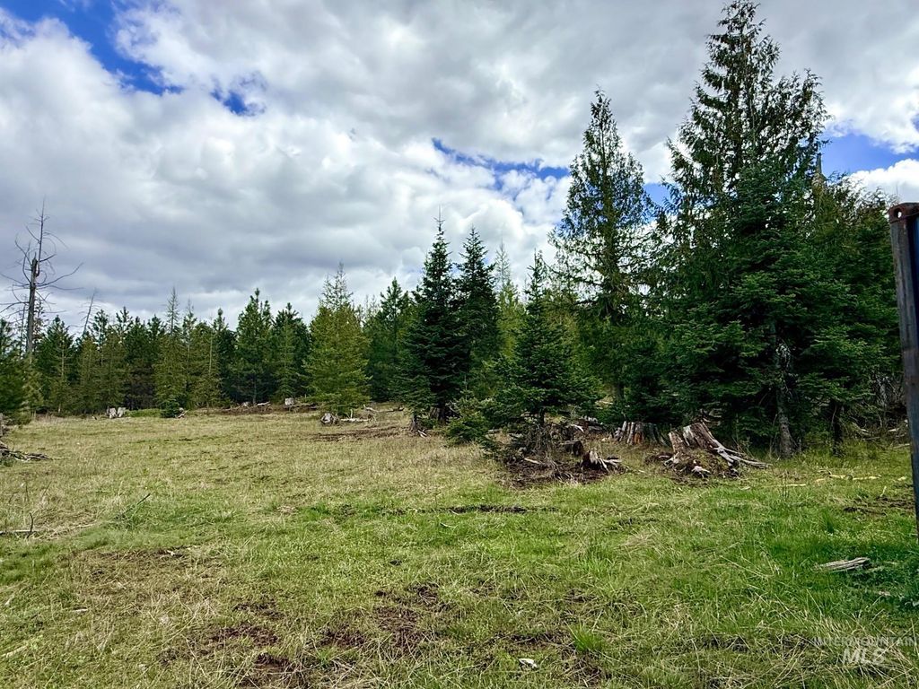 Photo of 0 Wildwood Dr, Orofino, ID 83544 (MLS # 98971745)
