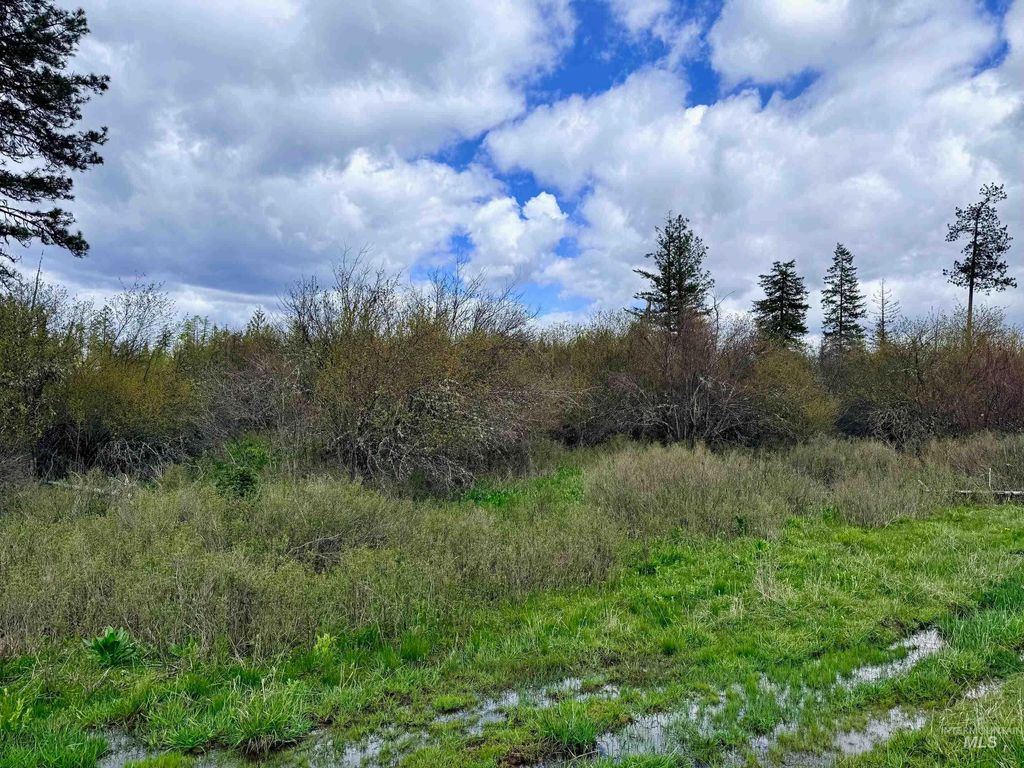 Photo of 0 Wildwood Dr, Orofino, ID 83544 (MLS # 98971745)