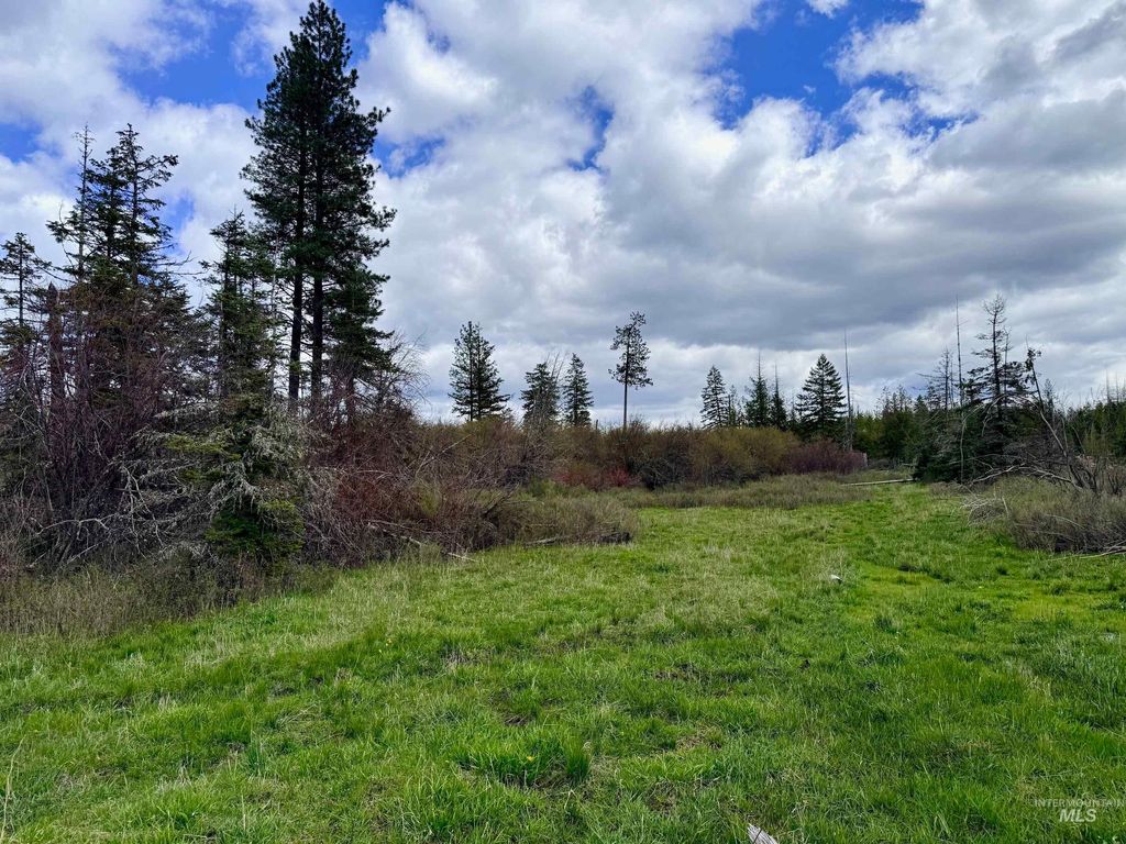 Photo of 0 Wildwood Dr, Orofino, ID 83544 (MLS # 98971745)
