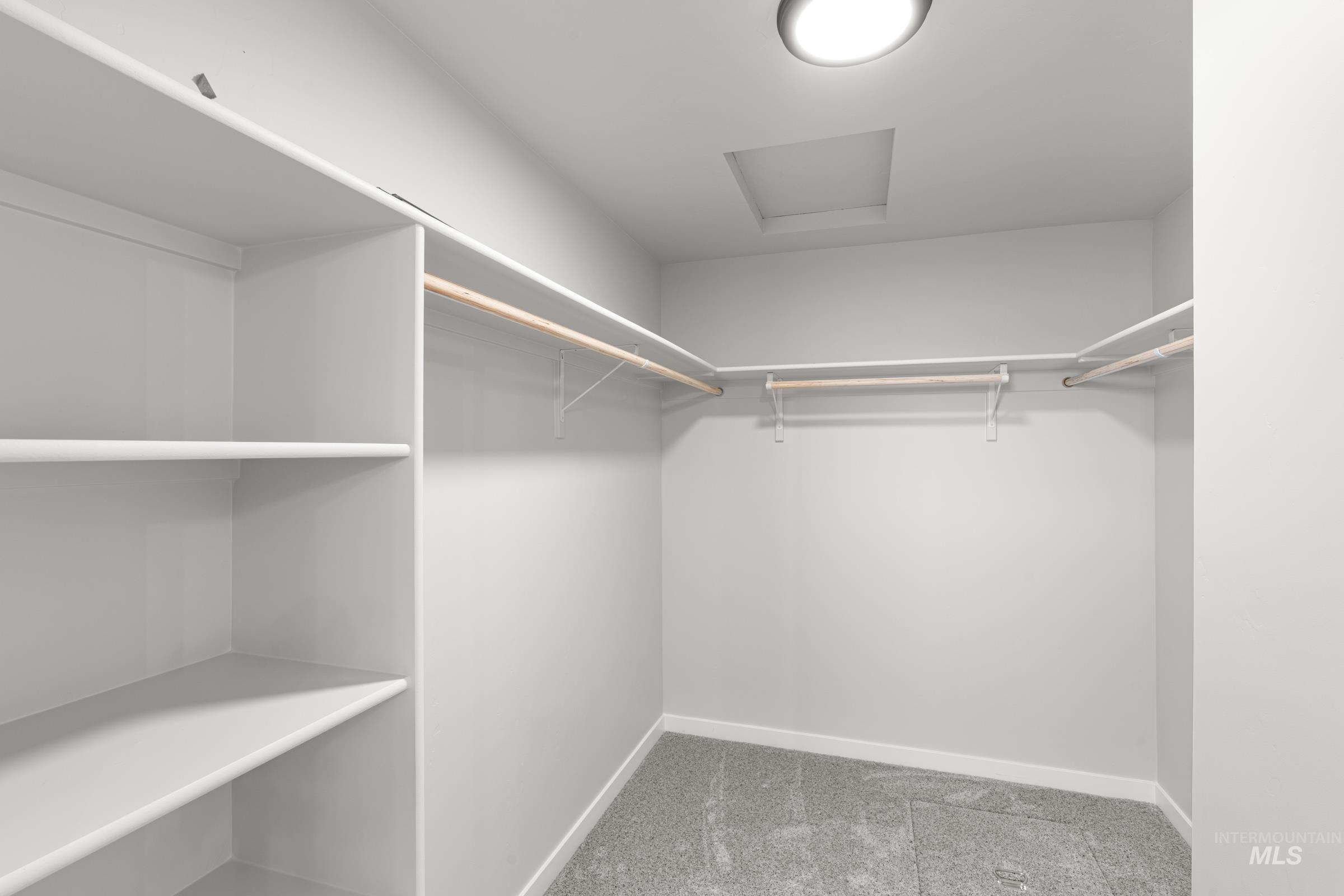 Walk in closet with attic access and light colored carpet