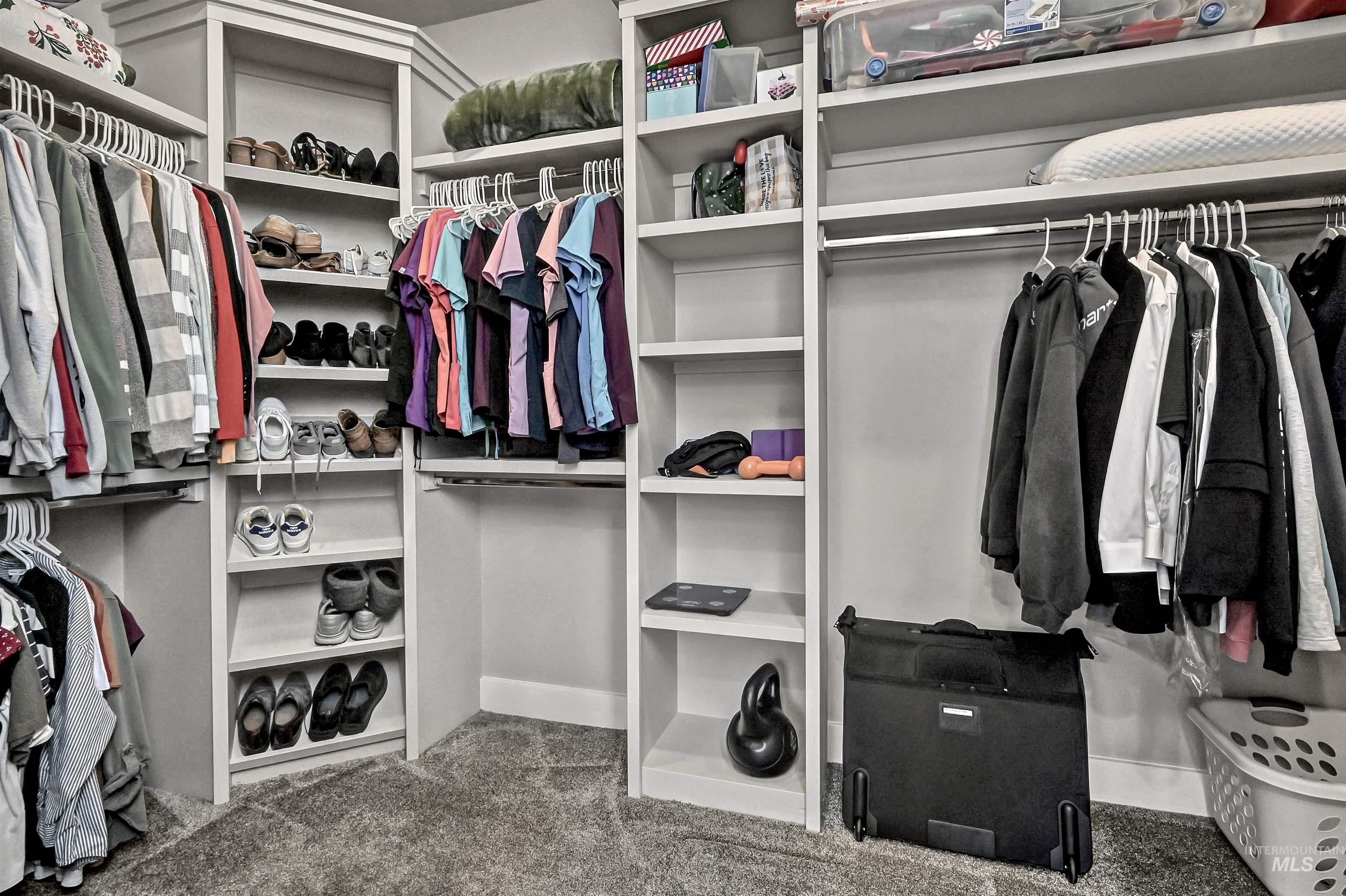 Walk in closet with carpet & ample built-in storage