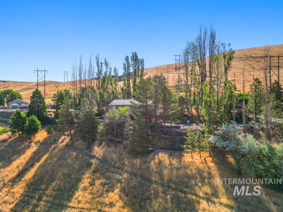 View of yard with a view of rural / pastoral area
