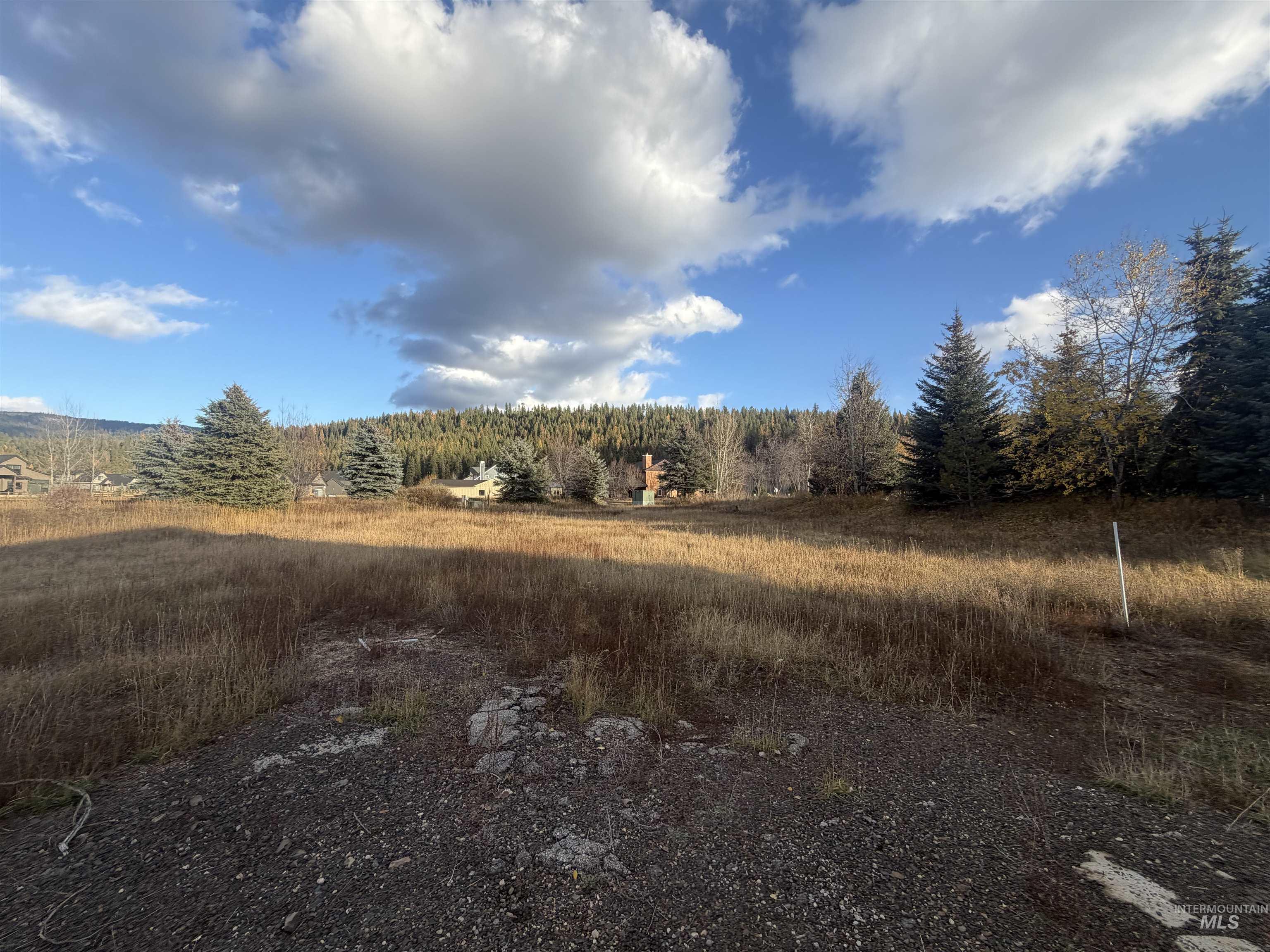 View of woods featuring a rural view